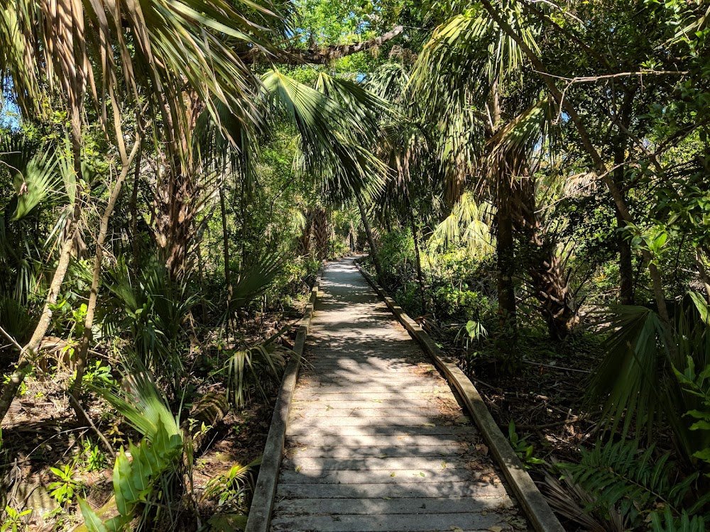 Caloosahatchee Regional Park near Alva, FL