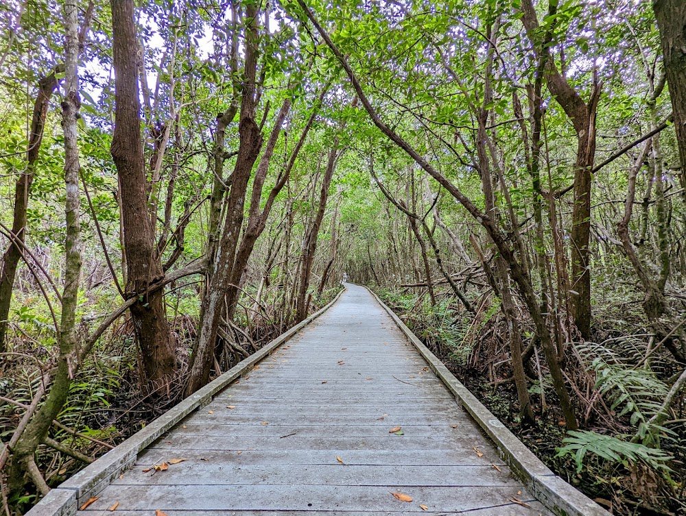 Four Mile Cove Ecological Preserve near Cape Coral, FL