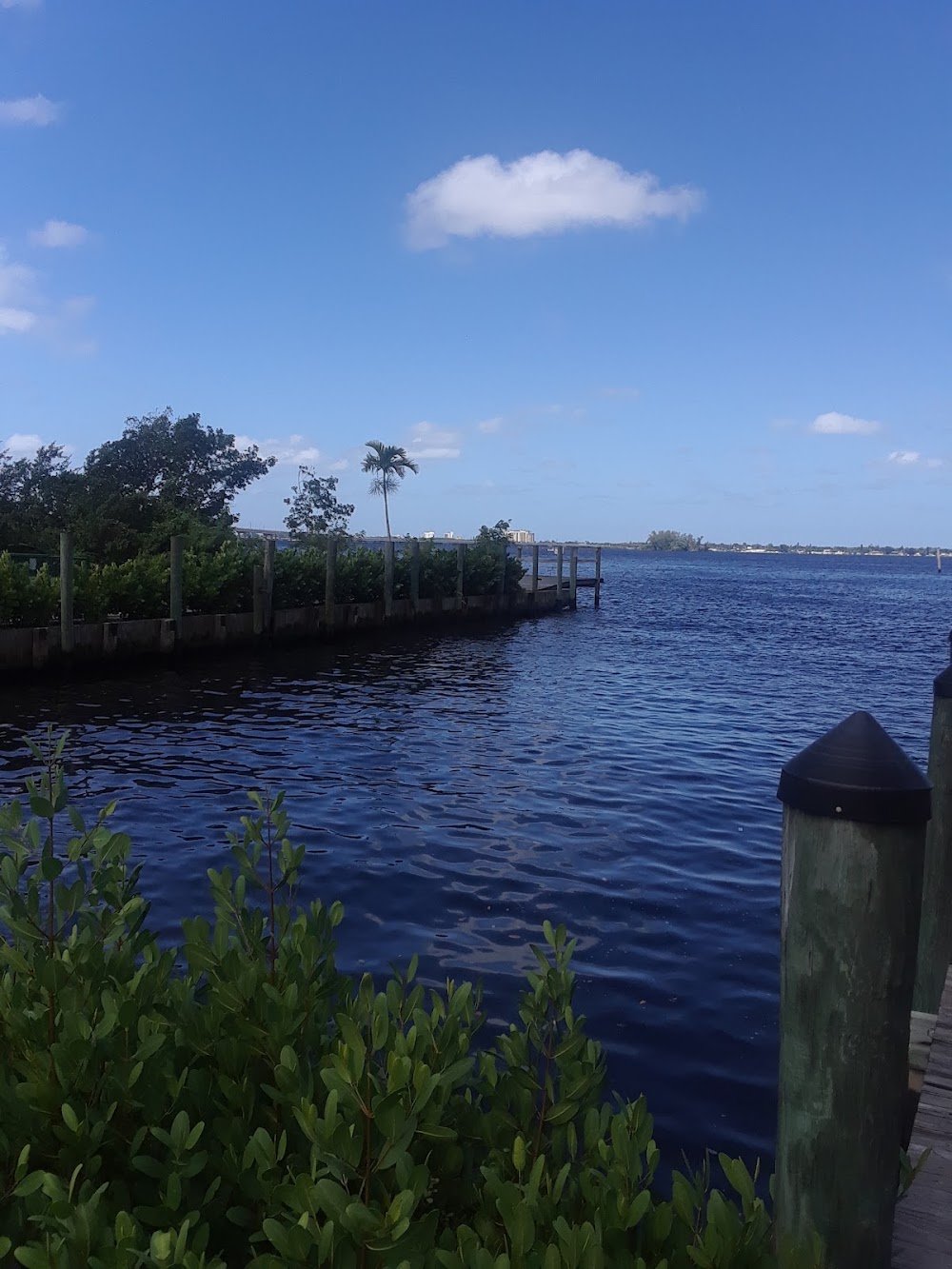 Caloosahatchee riverfront near McGregor, FL