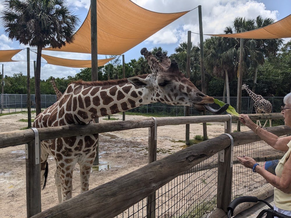 Naples Zoo at Caribbean Gardens near Naples, FL