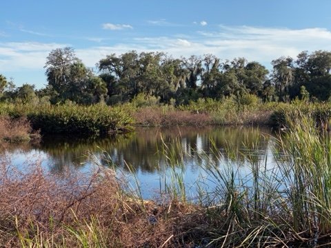 Caloosahatchee riverfront near North Fort Myers, FL