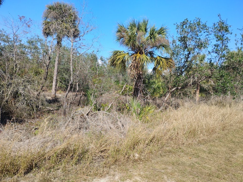 Tippecanoe Environmental Park near Port Charlotte, FL