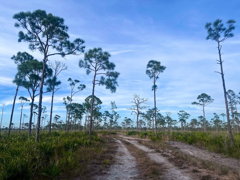 Estero Bay Preserve State Park near San Carlos Park, FL