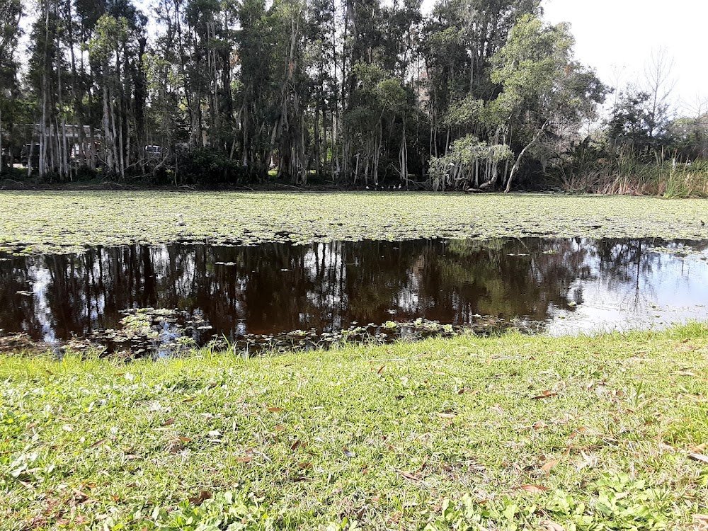 San Carlos Park Community Park near San Carlos Park, FL