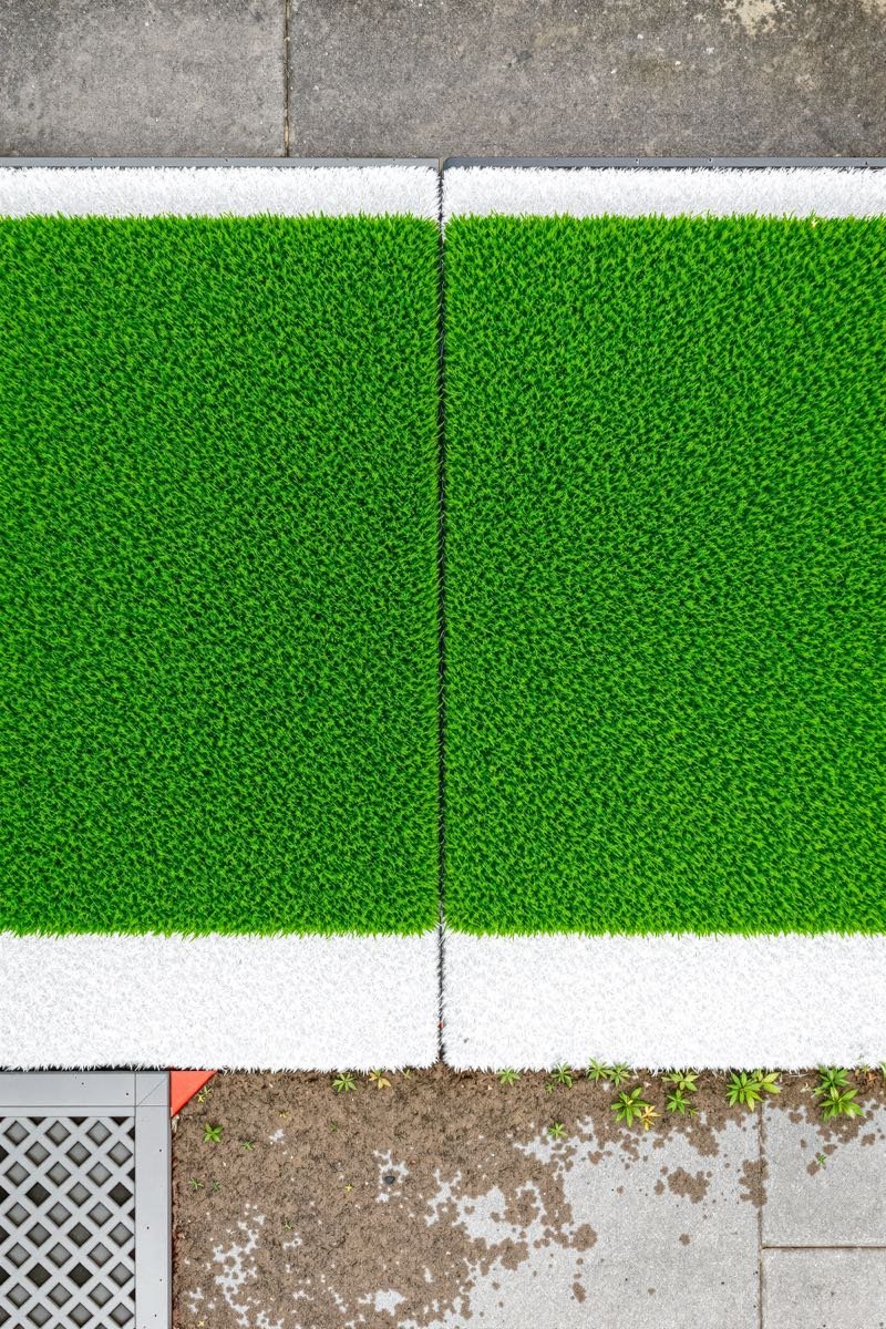 Well-maintained backyard artificial turf lawn built for active pets